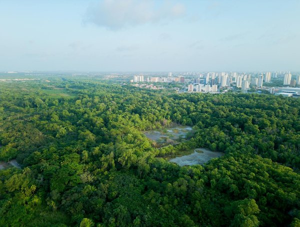 Découvrez la location de votre vidéobooth 360° pour événements